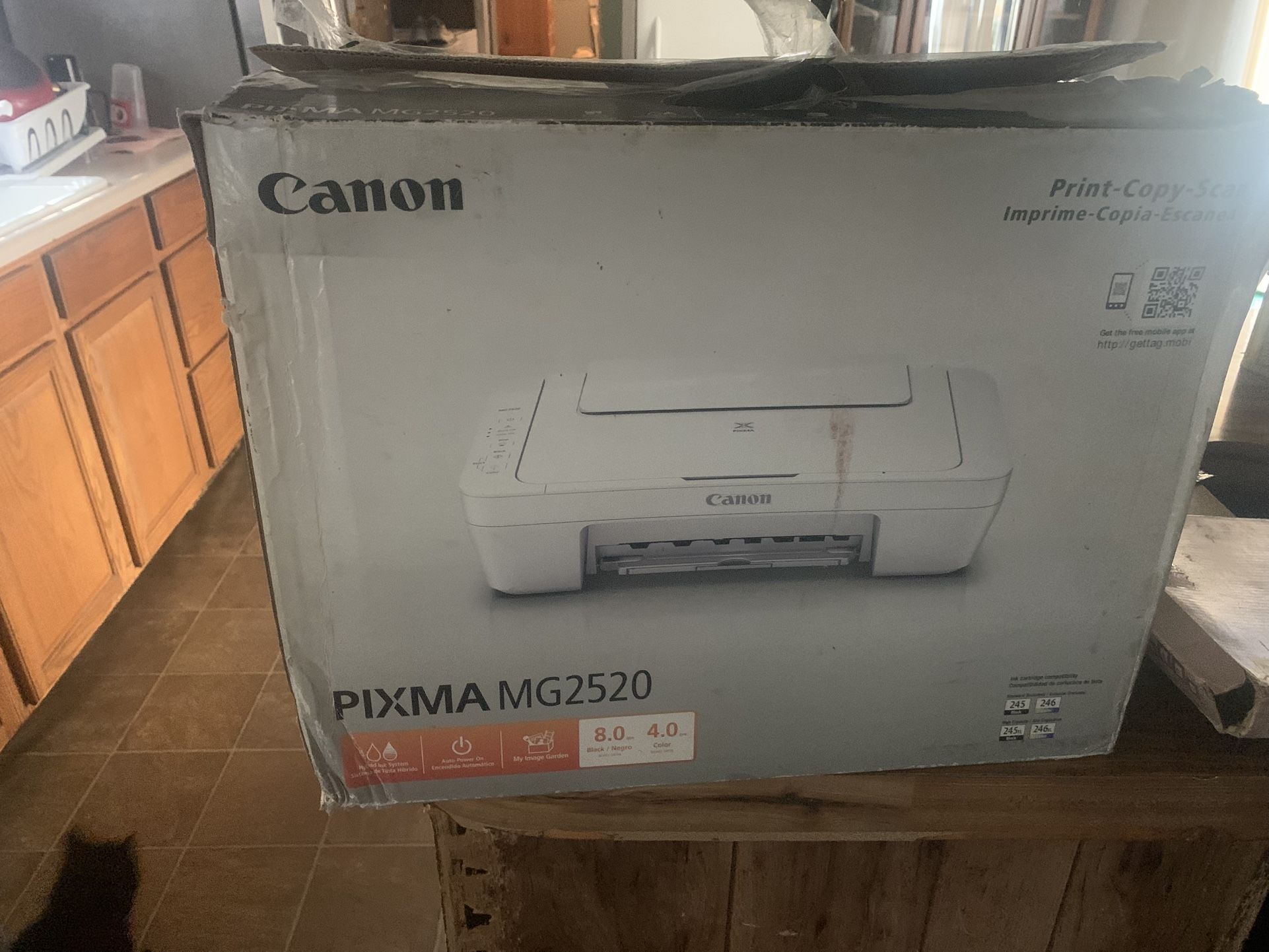 Canon PIXMA MG2520 Printer