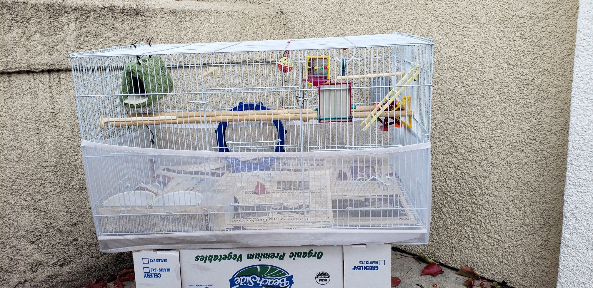 FREE large bird cage/Everything inside included