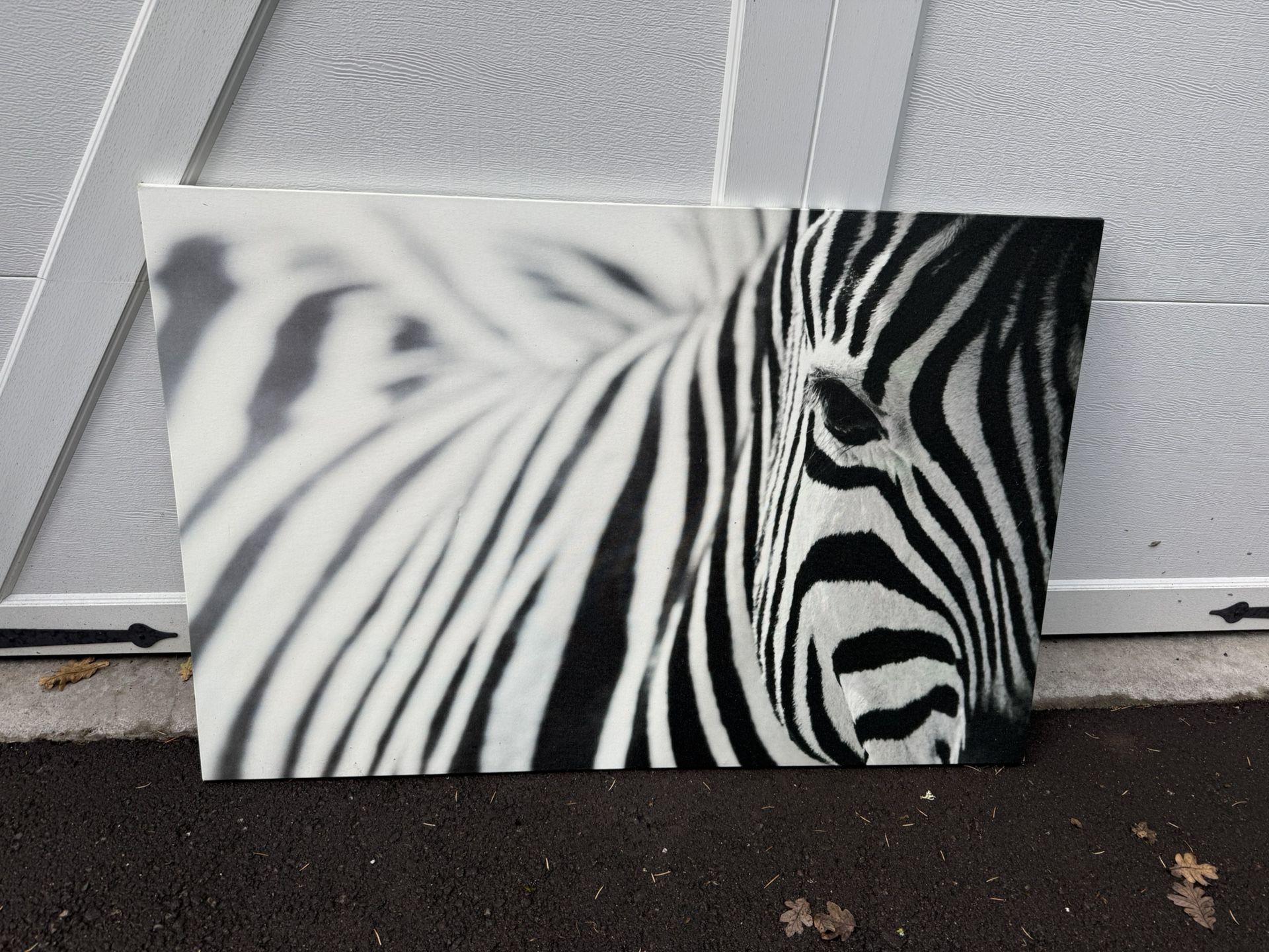 IKEA Large Zebra Canvas Print Well Art 30.75”x46.5”