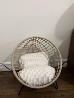 Cat Bed