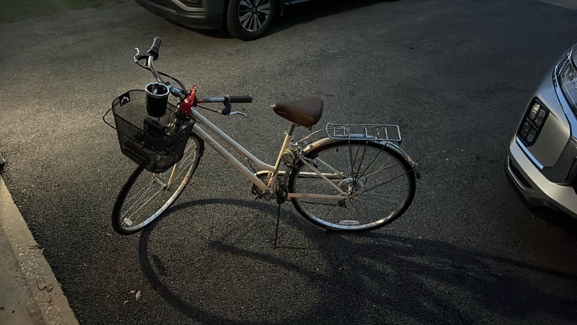 Schwinn Cruiser
