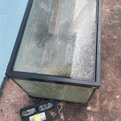 Fish Tank. Peces 75 G 