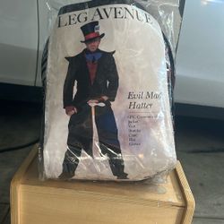 Mad Hatter Halloween Costume