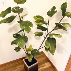 Artificial Fig Tree 