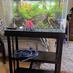 30 Gallon Fresh Water Fish Tank With Stand And All Necessities 