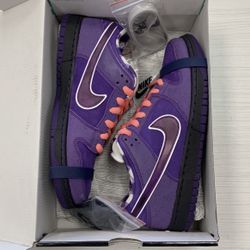 Dunk Lobster Purple