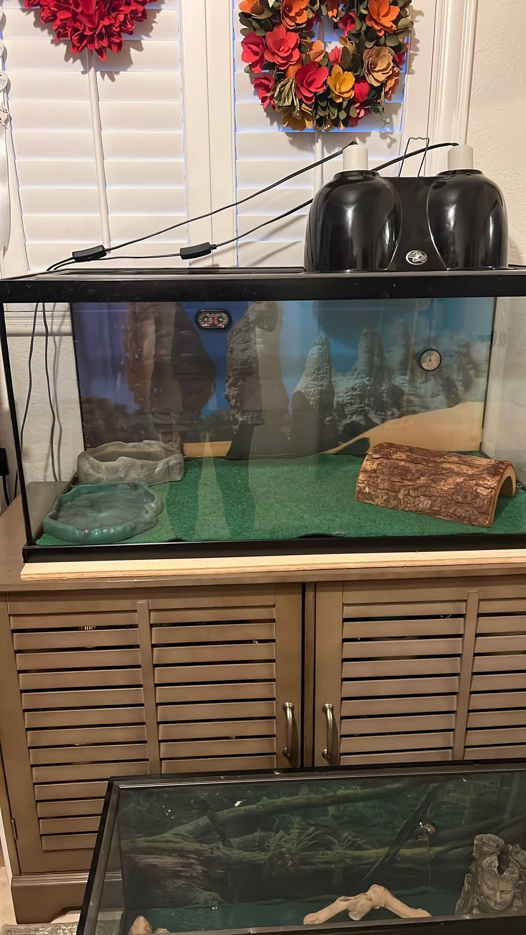 Zoo Med Bearded Dragon, Reptile Aquarium  With Lights And Accessories