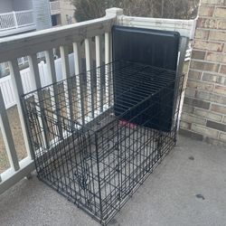 Dog Kennel