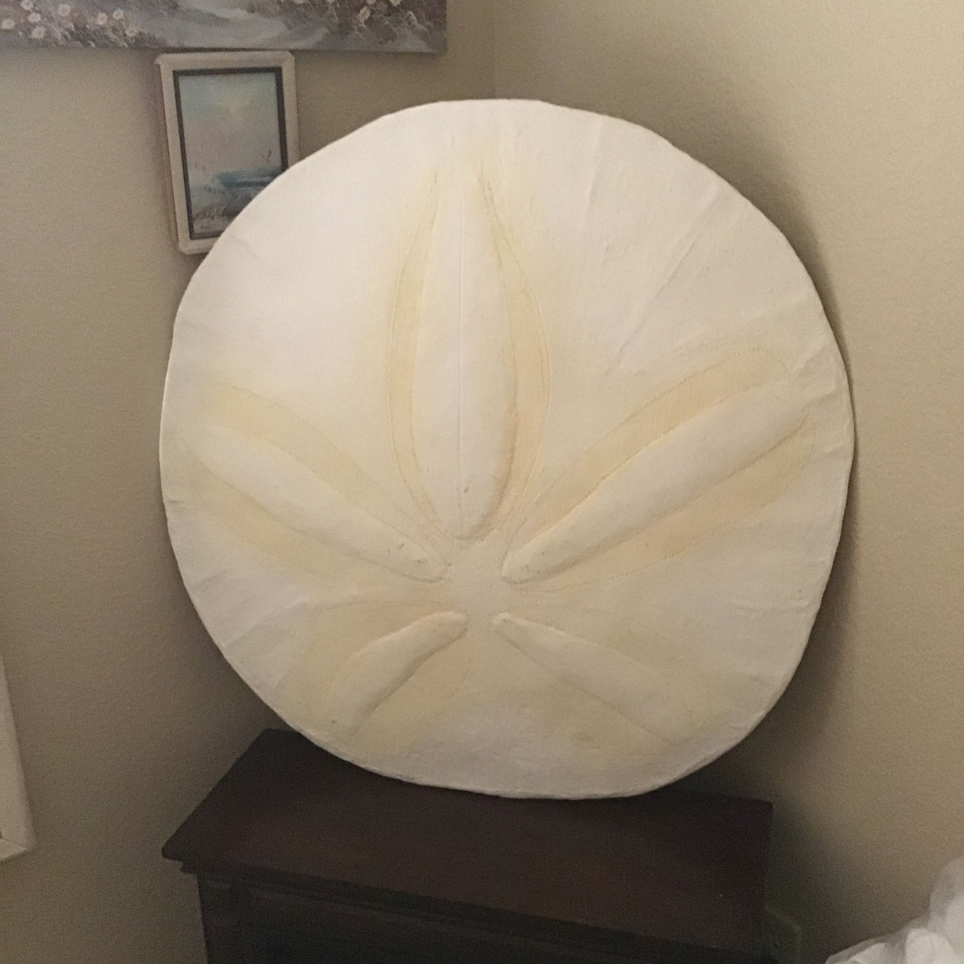 Wall Decor Unique Sand Dollar! And Sea Shell Wind chime Mobile. Wall Art-Easy Hang