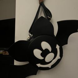 Disney Bat Bag /mickey Raincoat
