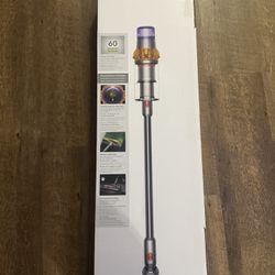 Dyson V15 Detect 