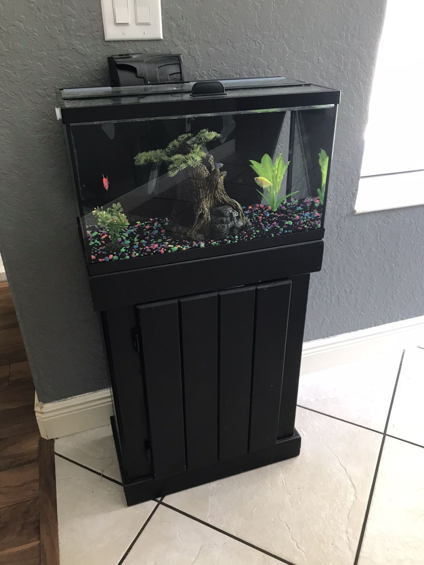 10 gallon glo fish tank aquarium