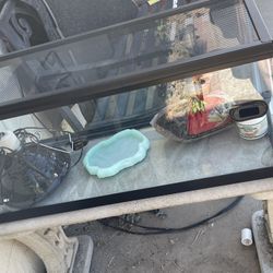 Reptile Tank 