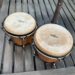 Bongo Drums