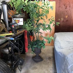 Decorative tree
