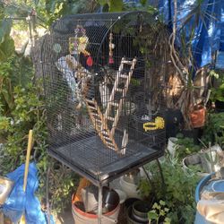 Bird Cage With Wheels