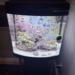 Fish Tank JBJ Nano Cube LED Aquarium: 24-Gallon