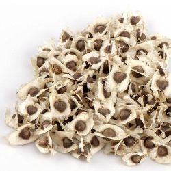 Moringa Seeds 500 Count -Large-Organic-Pkm1 