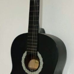 Acoustic Guitar 