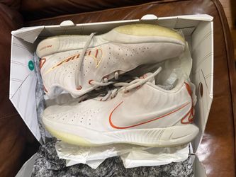 Nike Lebron 21 Akoya Size 13