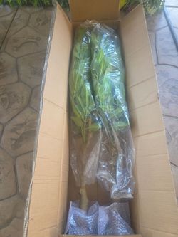 Artificial Ficus Tree in Box 2 trees