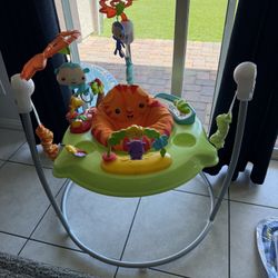 Baby Bouncer