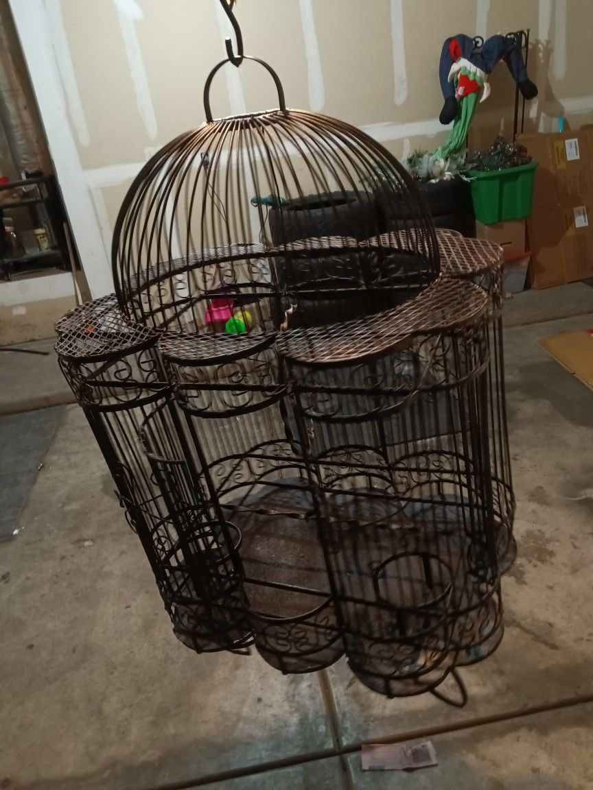 Bird Cage