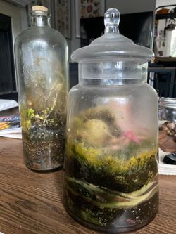 Terrariums