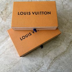 Louis Vuitton Boxes with Bag Covers 