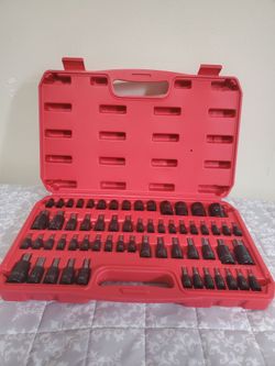Dados y Puntas Torx 60pc $75 Precio Firme