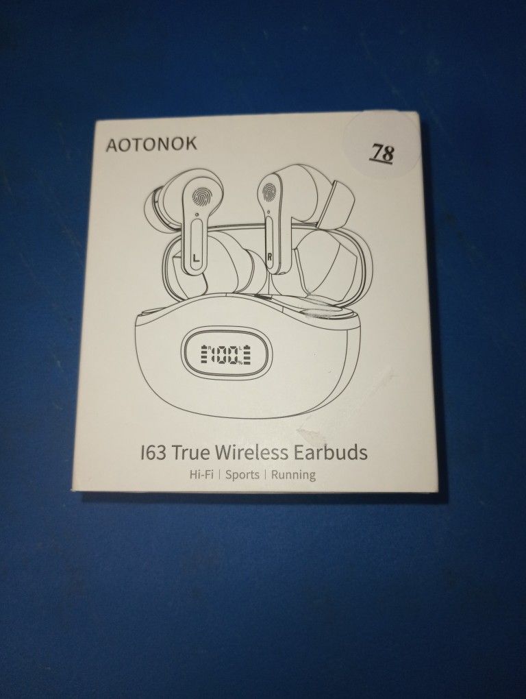 AOTONNOK 163 True Wireless Earbuds