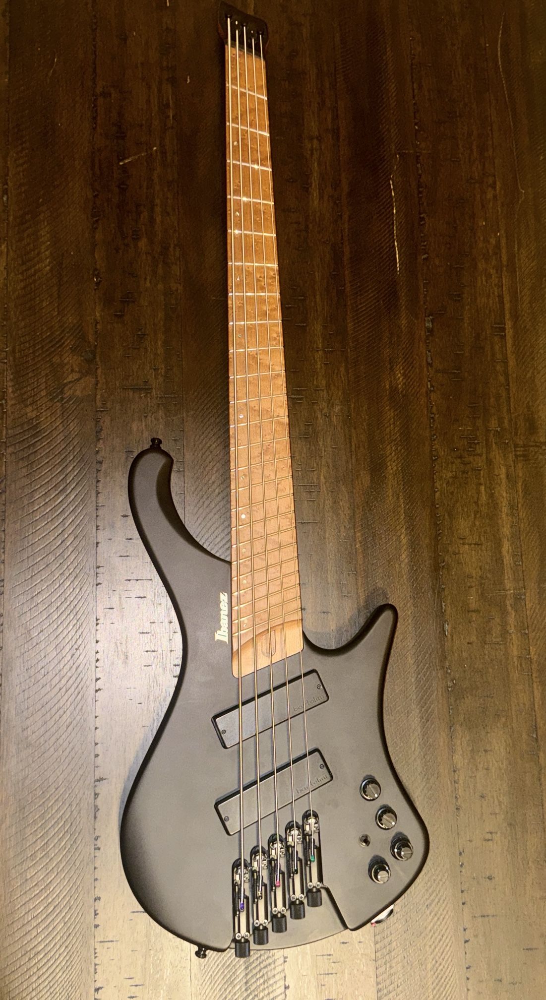 Ibanez EHB 1005 MS Bass Guitar