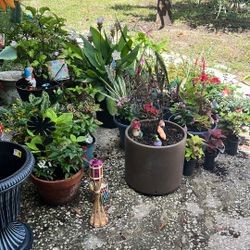 Different Plant Set Up’s For Sale! 