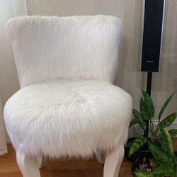 Fuzzy Chair 