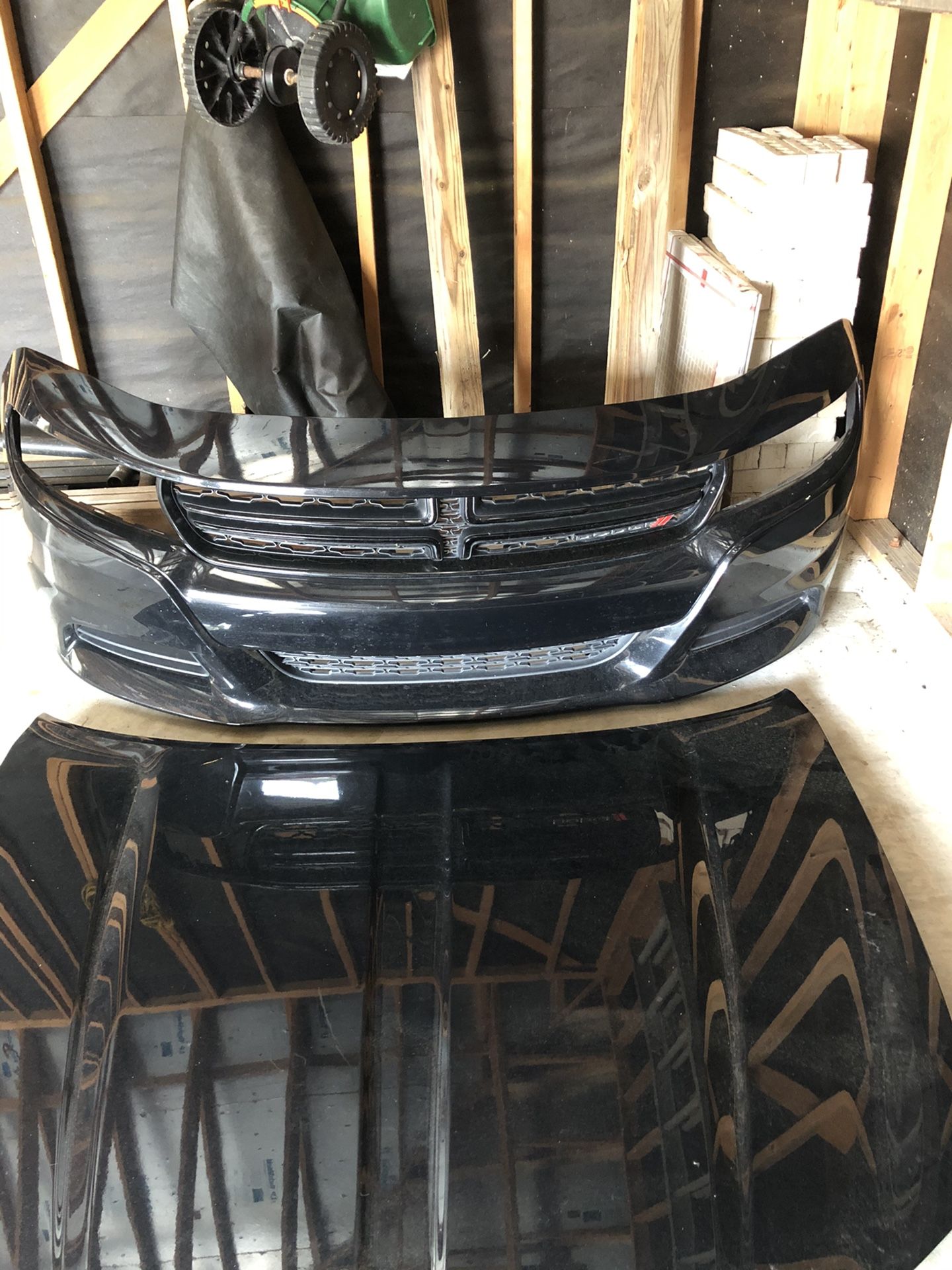 Hood and bumper