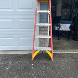 5’  Perfect 300lb Ladder 