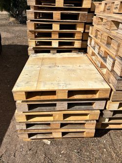 Plywood Top Pallets
