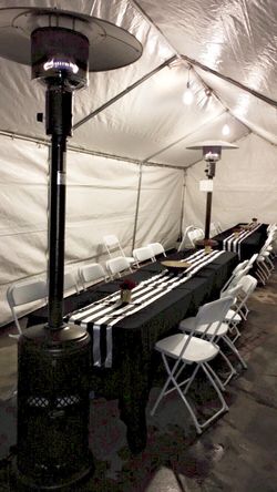 10x30 Tent Canopy Carpas