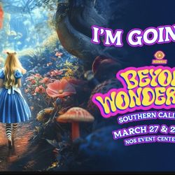 Beyond Wonderland