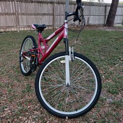 Bisicleta Rodada 24"