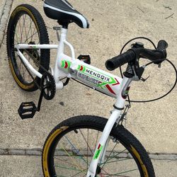 2021 20 Inch Foldable Super Bike 77407