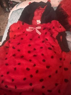 Ladybug costume size and picture