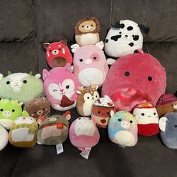Squishmallows 