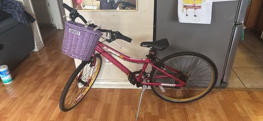 Diamond Back Mountain Bike
