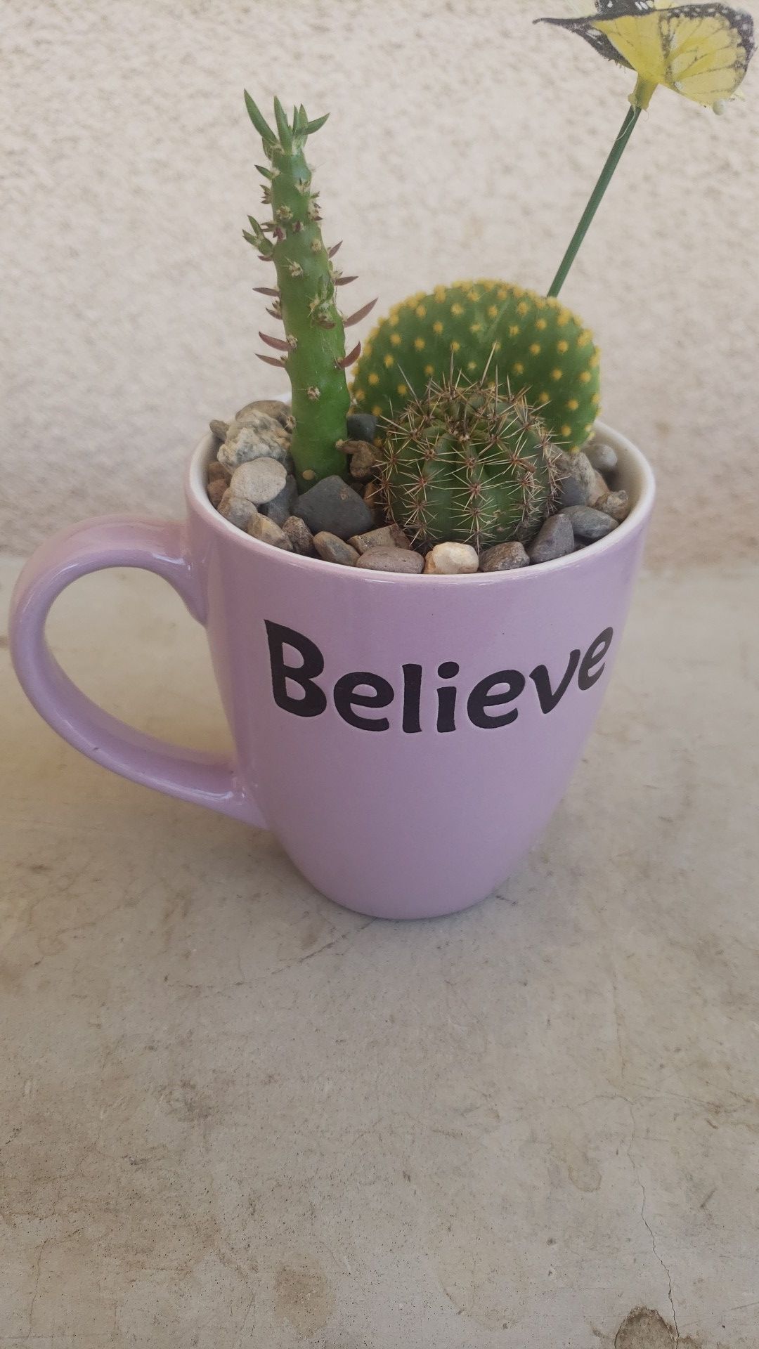 Plantas
