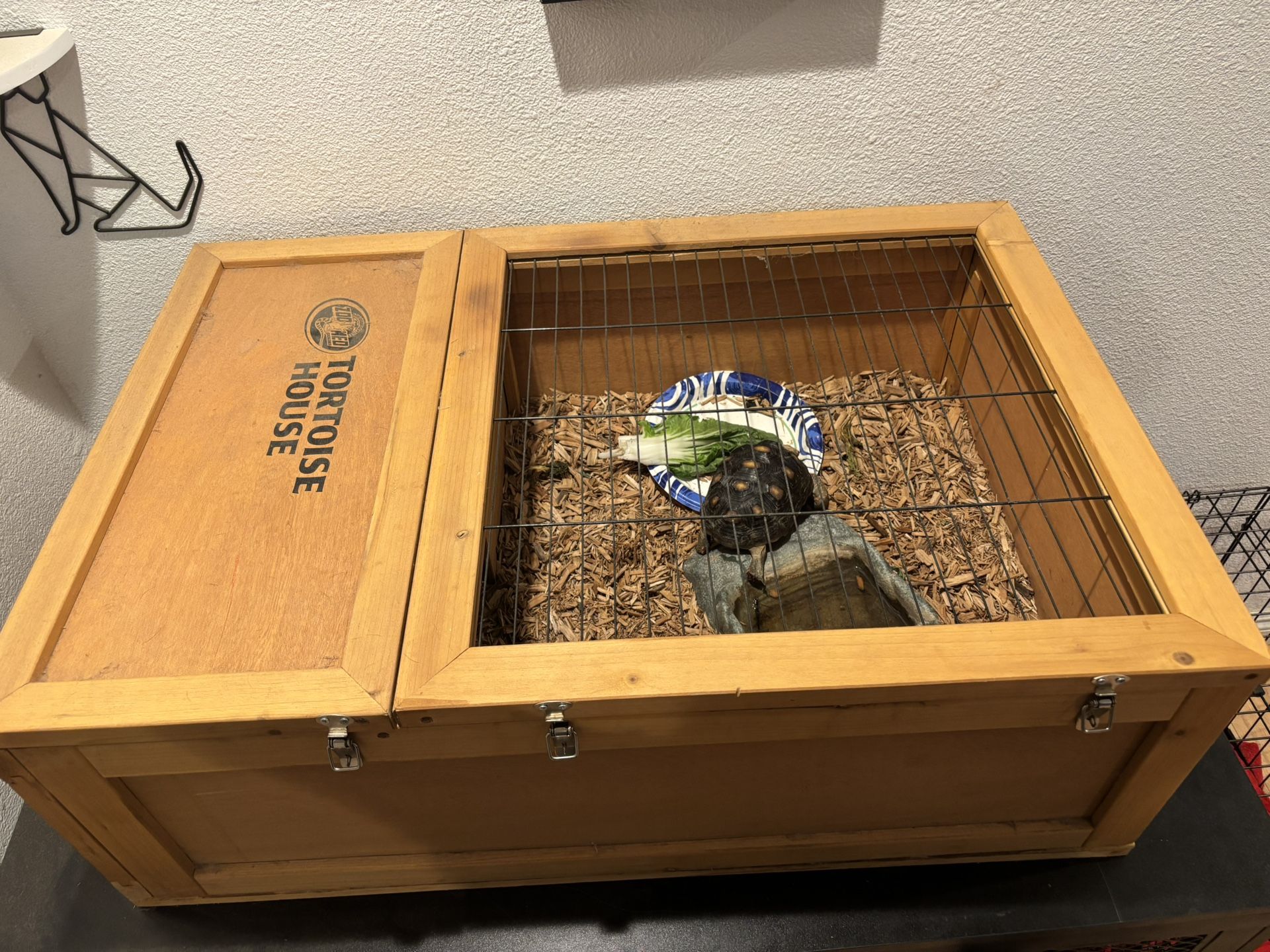 Zoo Med Tortoise House