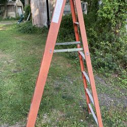 6 Foot Louisville Ladder 