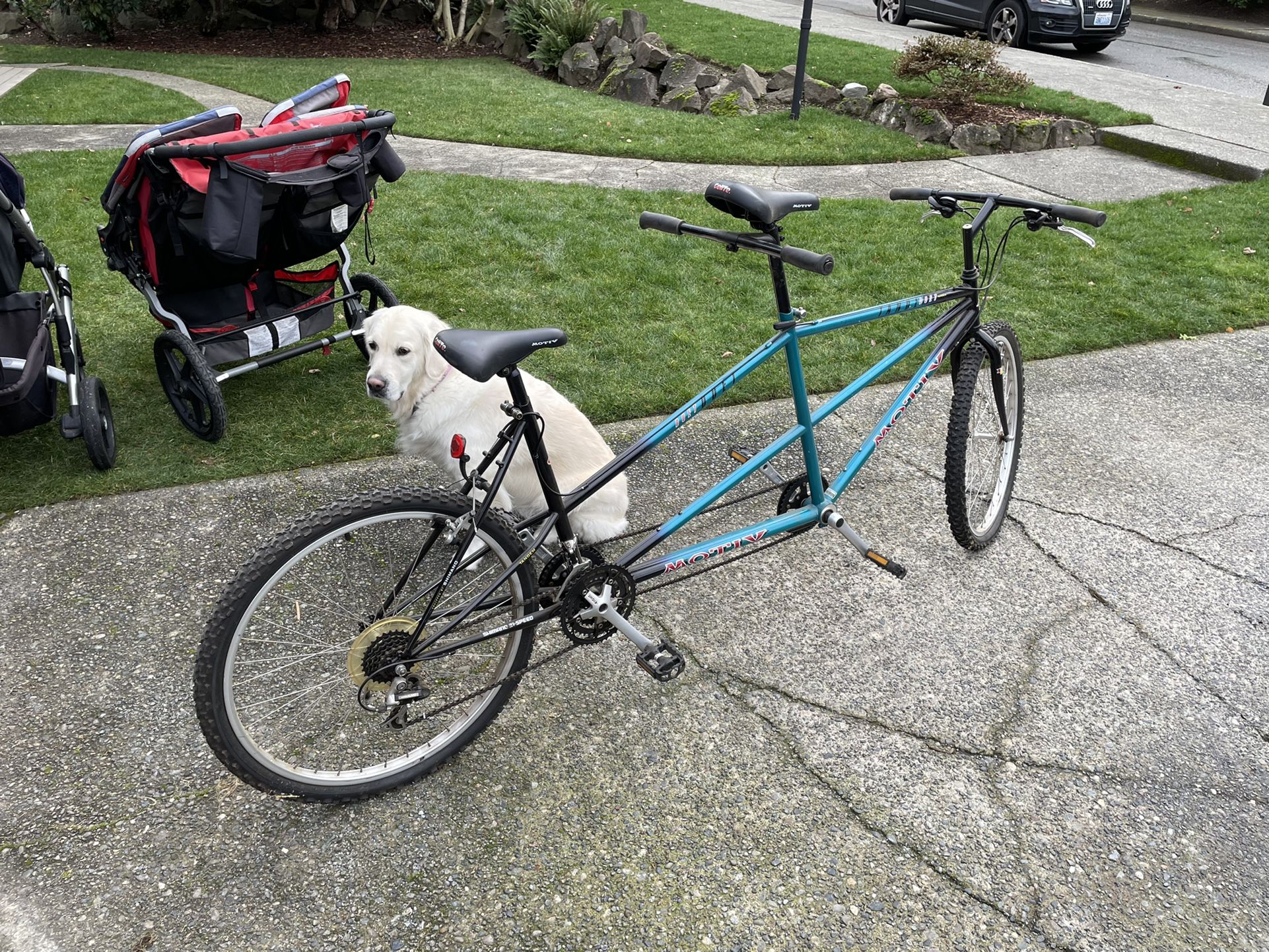 Motiv duet tandem sale