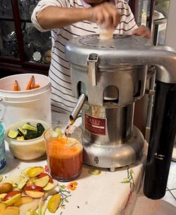Commercial Vegetable Fruit Extractor Good Condition Works Well