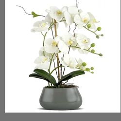 White Orchid Artificial Flowers With Gray Vase Fake Faux Silk Phalaenopsis Arrangement For Home Office Decoration Party Wedding Decor Indoor (3.54" D 